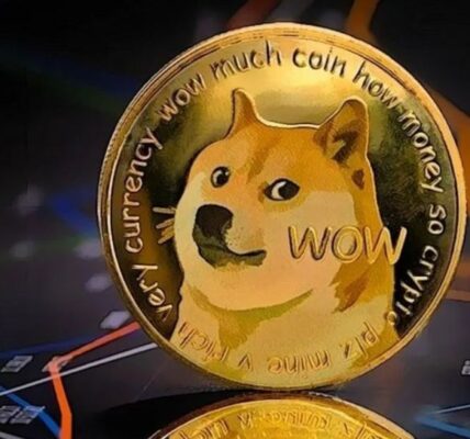 Dogecoin's Remarkable Surge: Large Transaction Volume Spikes 41% as Network Activity Intensifies